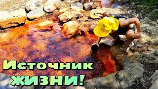 Фигуристка и источник жизни! Растёт на льду и минералке! 😀