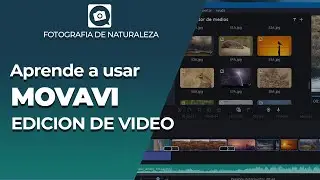 MOVAVI tutorial para principiantes