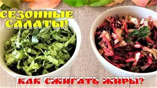 СЕЗОННЫЕ САЛАТЫ! ТЕПЕРЬ ТОЛЬКО ТАК! ЭТО ВКУСНО и ПОЛЕЗНО! Как сжигать жиры? Без майонеза и сметаны.