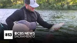 Go fish on National Fishing Day | Codys Caravan