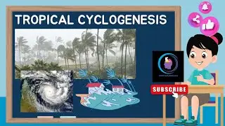 Let's Learn About Tropical Storms! What is Tropical Cyclogenesis? | Fun Science for Kids