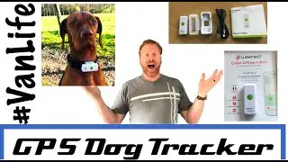 Weenect Dog 2 GPS Tracker Review