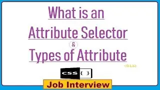 13. What is an Attribute Selector & Types of Attribute in CSS?