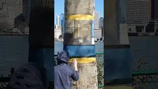 How to Draw - NYC Invisible Tree Trunk 3D Illusion Art #shorts