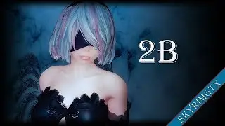 Skyrim: YoRHa 2B Follower 1.11 HDT