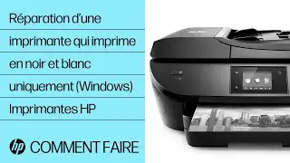 Comment réparer une imprimante HP qui imprime en noir et blanc uniquement (Windows) | Imprimantes HP