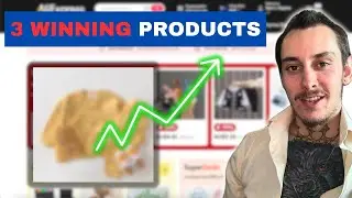 $1.2M Winning DropShipping Products Advice