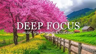 Deep Focus Music To Improve Concentration - 12 Hours of Ambient Study Music to Concentrate #792