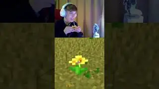 СИГМА хотел ПРОУЧИТЬ его в МАЙНКРАФТ! 👽 #shorts  #minecraft