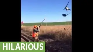 Is pheasant hunting really this simple?