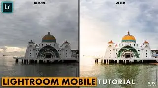 Pop the Image with Selective Tools in Lightroom Mobile | Android | iPhone