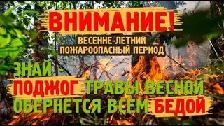 Не жги сухую траву!