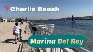 A day at the beach 🏝️ || Charlie beach Marina Del Rey