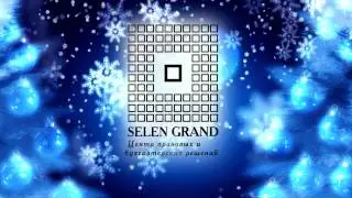 Московская Финансово-правовая компания Selen Grand  2015