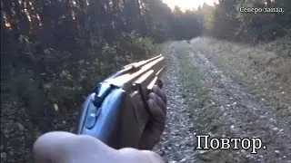 ОХОТА НА ЗАЙЦА С РУССКОЙ ГОНЕЙ  19.10.2024 Первый заяц этого сезона.