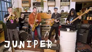 Juniper: Цех live