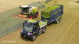 4k Harvest 2023 Mercedes Benz Unimog U530 carting silage & Claas Jaguar 970 forager & header removal