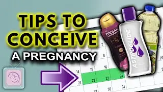 TTC? Sex timing, sex frequency and lubricants: Fertility Expert Tips!