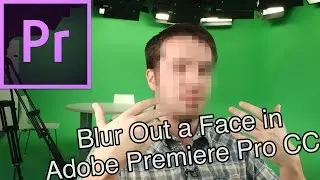 How to Motion Track a Blurred Out a Face in Premiere Pro CC