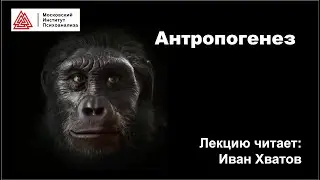 09. Антропогенез