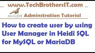 Create User and Provide Permission by using User Manager in MySQL or MariaDB by using Heidi SQL