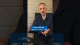 КУПИЛИ КОЛЛАГЕН и потратили ДЕНЬГИ ЗРЯ? Вся ПРАВДА о синтезе БЕЛКОВ! / Доктор Виктор