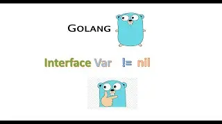 01 Interface Variable Comparison With "nil"  in Go Lang