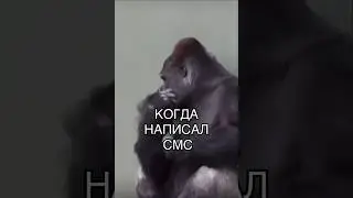 Когда написал смс) 