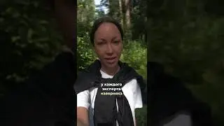 Как привлечь клиентов и деньги 