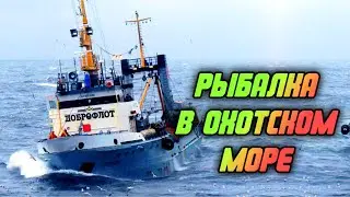 Крупнейший плавучий рыбозавод. Продолжение