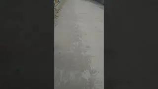 ЯНА БИР ХИЁНАТ ЗАПАЛ