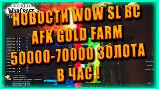 НОВОСТИ Blizzard, World of Warcraft Shadowlands 9.0.2 Burning Crusade BOE 207 ILVL AFK GOLD FARM