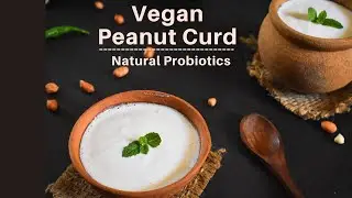 Easy Vegan Peanut Curd Recipe | Gut Friendly Recipe @palatesdesire@palatesdesire