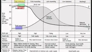 Unit 2 - Demographic Transition and Population Pyramids