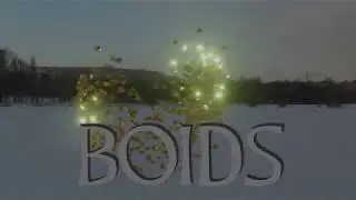 BOIDS BLENDER 2.80