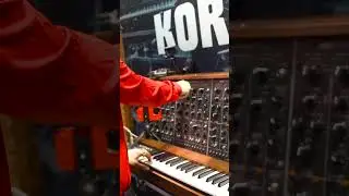 The KORG PS3300 is an absolute beast!🤯🔥