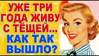 Тёща и Зять, как так получилось? История из жизни!