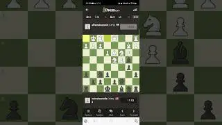 Checkmate or Rage Quit | Game 5