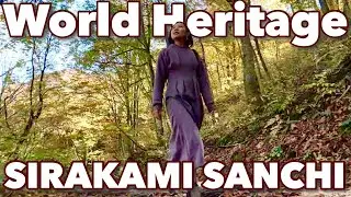 AOMORI🇯🇵 Shirakami Sanchi Mountains in Autumn Foliage♪ Japan vlog