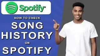 How to check song history on spotify (2024)