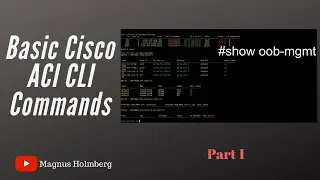 Basic Cisco ACI cli commands