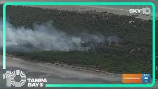 What Egmont Key looks like after a brush fire burned 30 acres