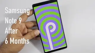 Samsung Galaxy Note 9 After 6 Months Review (with One UI)