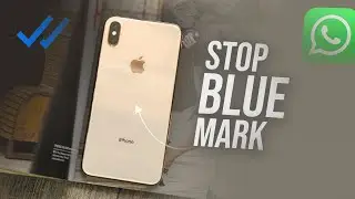 How to Stop Blue Mark in WhatsApp on iPhone (tutorial)