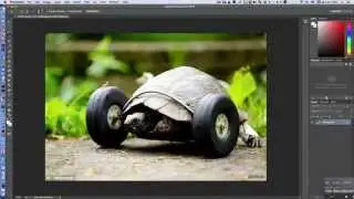 Fast and Turtle