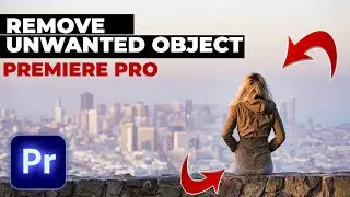 How To Remove Unwanted moving Objects from Video In Premiere Pro