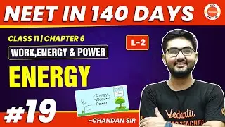 Work Energy Theorem | Work, Energy, Power L2 | NEET 2024 Physics | NEET in 140 Days | Class 11