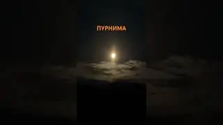 ПОЛНОЛУНИЕ 🌕