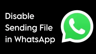 How To Disable Sending File on WhatsApp