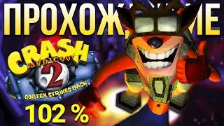 Crash Bandicoot N. Sane Trilogy ремастер Crash Bandicoot 2 : Cortex Strikes Back реликвии #4